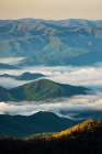 Early morning spring mountains and mist-from Clingmans Dome area-Great Smoky Mountains NP-NC Art Print